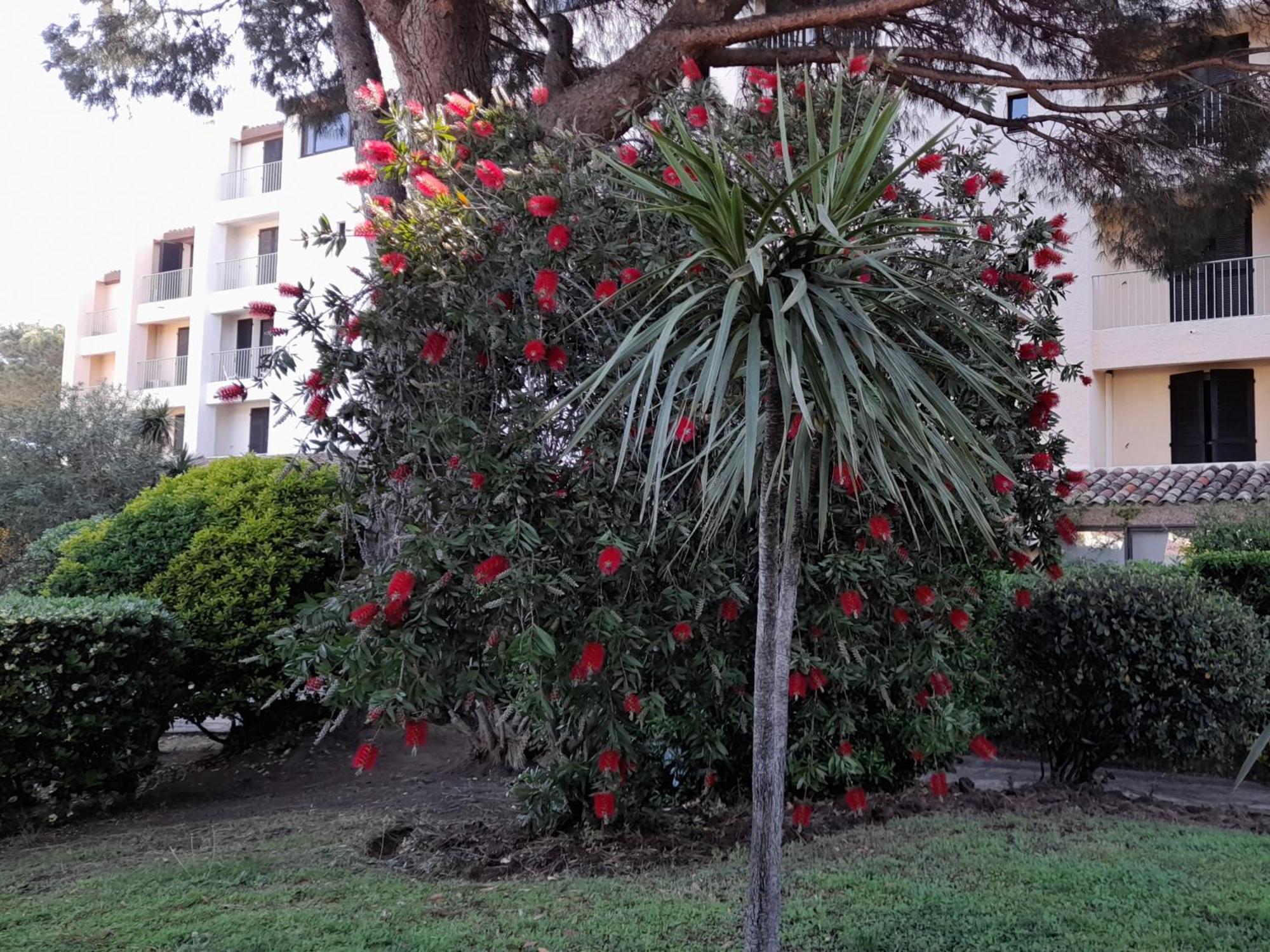Apartament Marina Bella Cogolin Zewnętrze zdjęcie